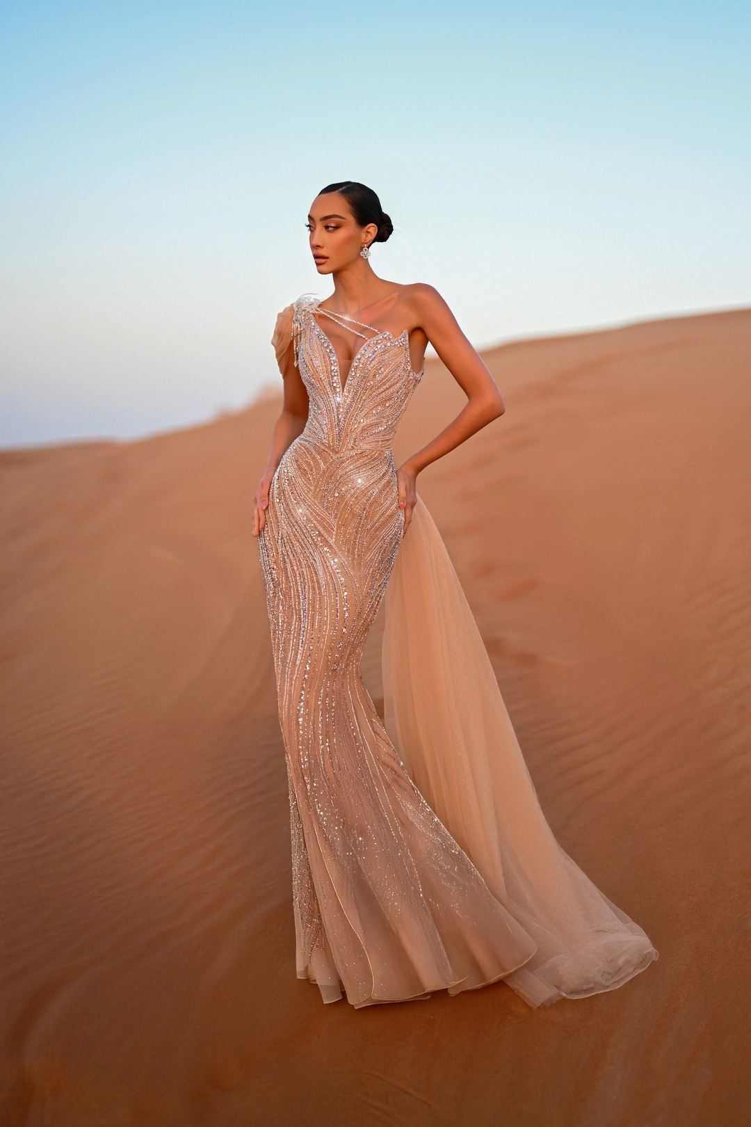 Champagne Embellished Gown with One Shoulder Feather Detail – Sequin and Feather Dress Plus Size