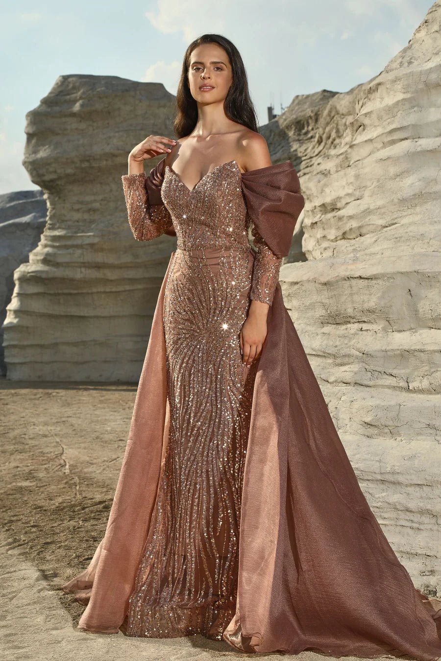 Gothic Coffee Sequin Evening Gown with Off-Shoulder Wrap Designer Sequin Dress and Pretty Sequin Dress Plus Size