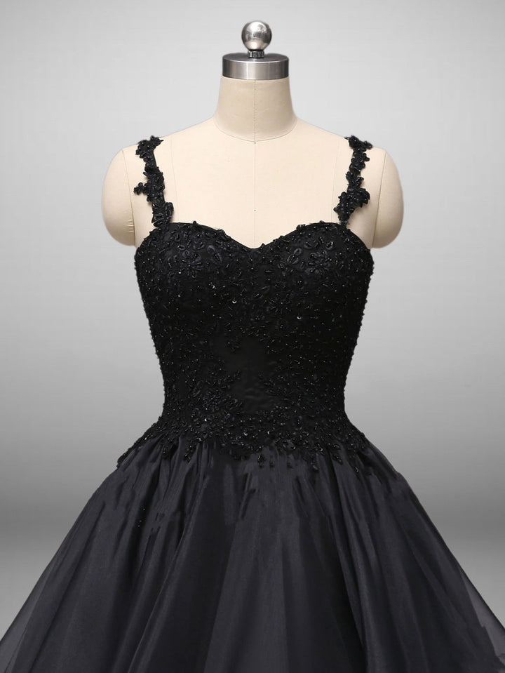 Classic Gothic Black Lace Embroidered A-Line Formal Dress With Ruffle Skirt Spaghetti Straps Plus Size - WonderlandByLilian