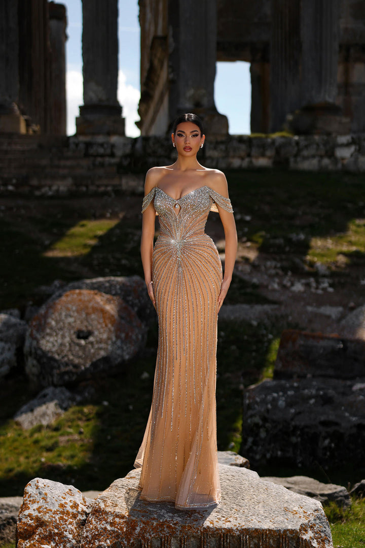 Champagne Pretty Sequin Dress with Off-Shoulder Sleeves – Embellished Gown with Glitter Tulle Plus Size