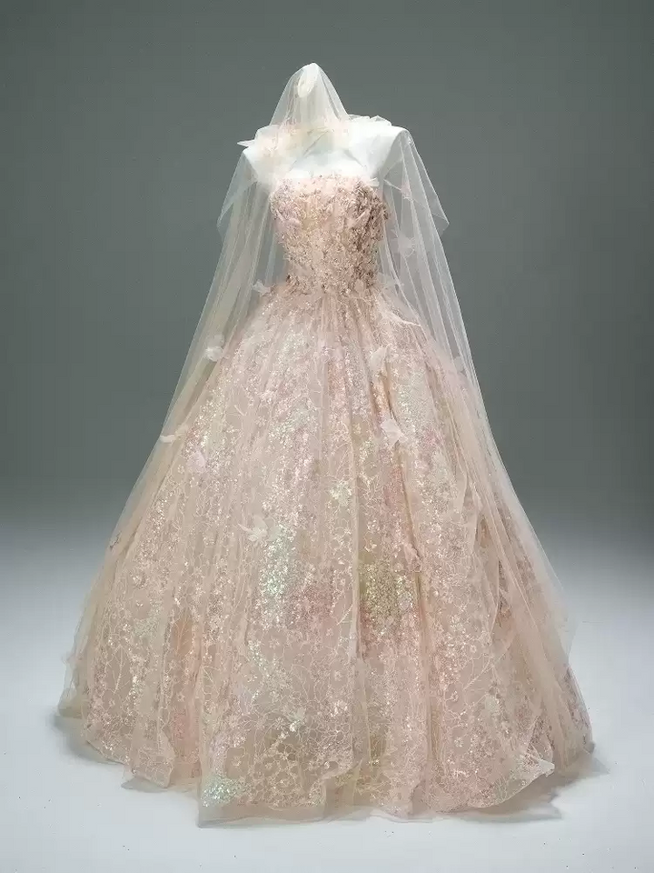 Blush Pink Sequin Ball Gown with Floral Appliqué – Strapless Evening Dress with Tulle and Matching Veil Plus Size