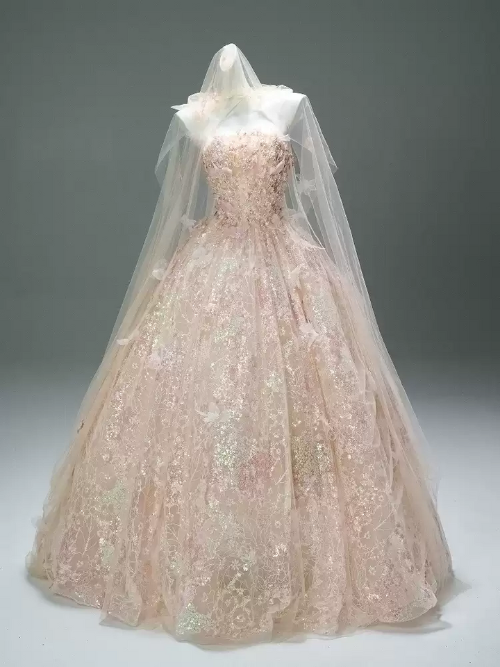 Blush Pink Sequin Ball Gown with Floral Appliqué – Strapless Evening Dress with Tulle and Matching Veil Plus Size