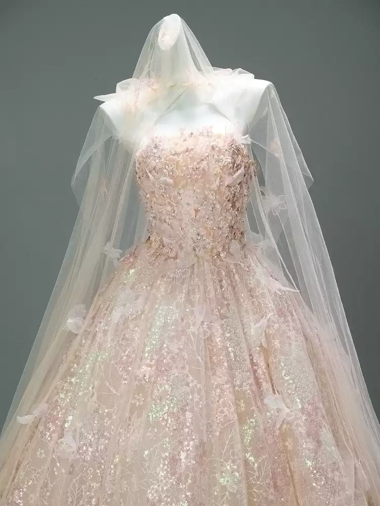 Blush Pink Sequin Ball Gown with Floral Appliqué – Strapless Evening Dress with Tulle and Matching Veil Plus Size