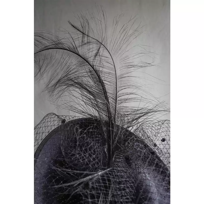 Elegant Black Fascinator with Feather - Women's Feather Hat with Veil