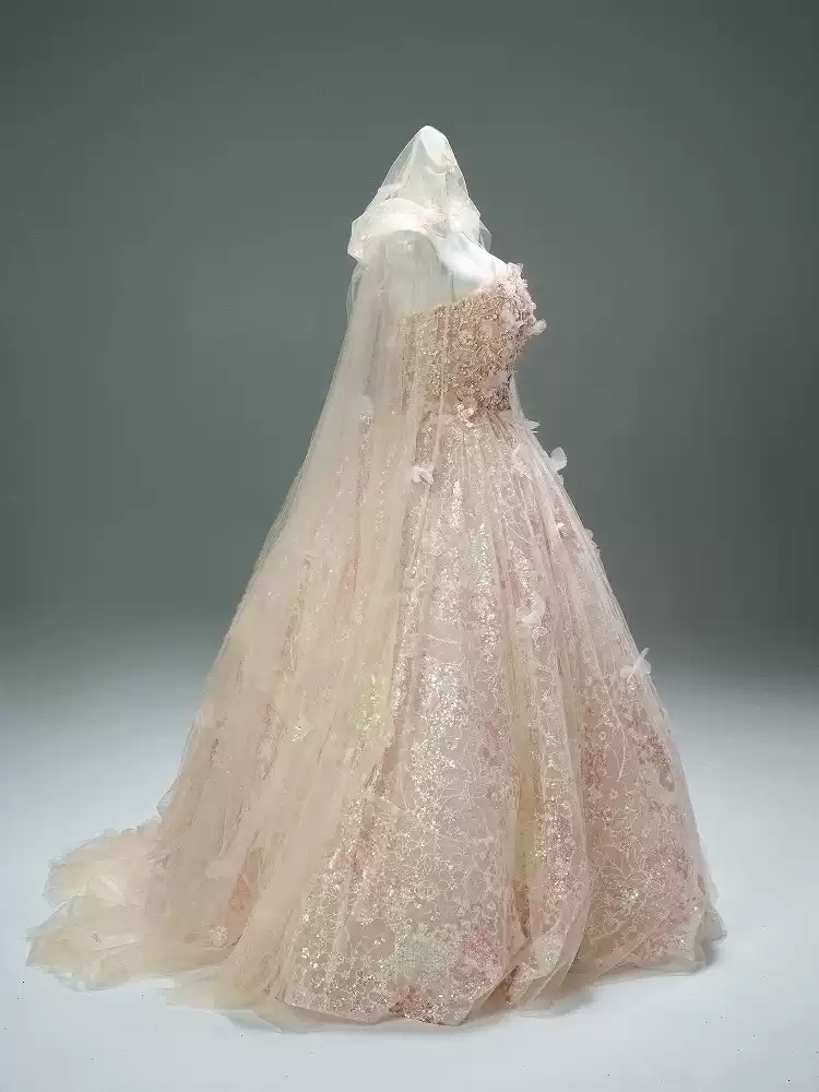 Blush Pink Sequin Ball Gown with Floral Appliqué – Strapless Evening Dress with Tulle and Matching Veil Plus Size