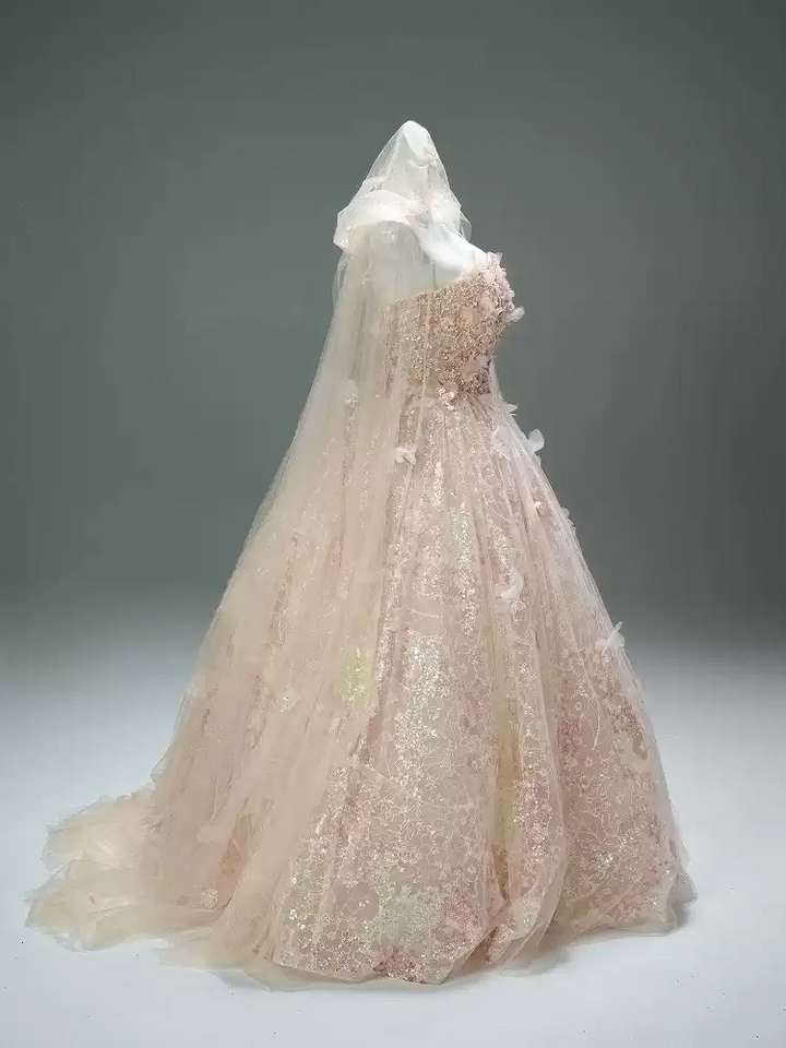 Blush Pink Sequin Ball Gown with Floral Appliqué – Strapless Evening Dress with Tulle and Matching Veil Plus Size