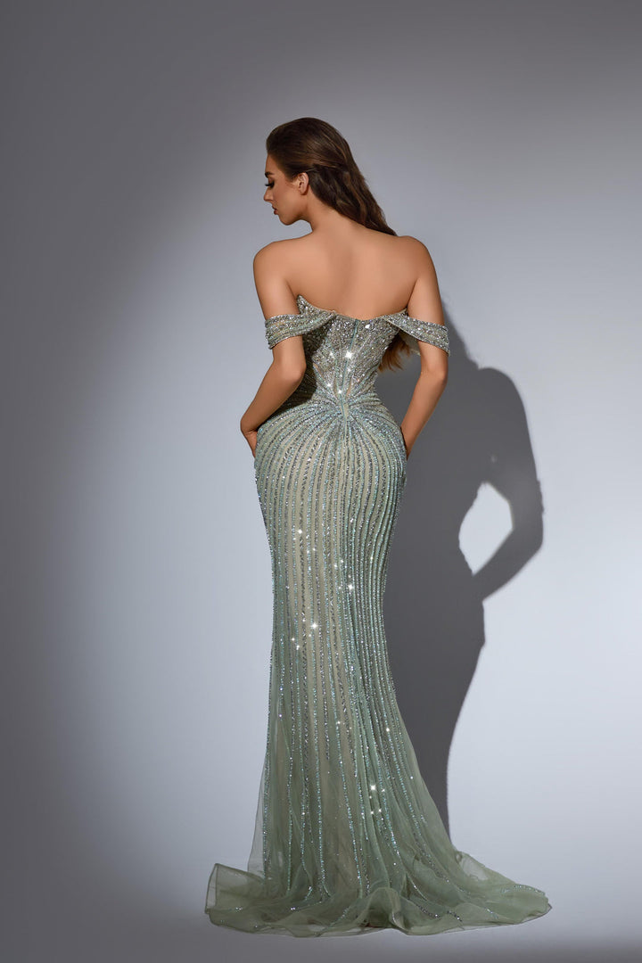 Champagne Pretty Sequin Dress with Off-Shoulder Sleeves – Embellished Gown with Glitter Tulle Plus Size