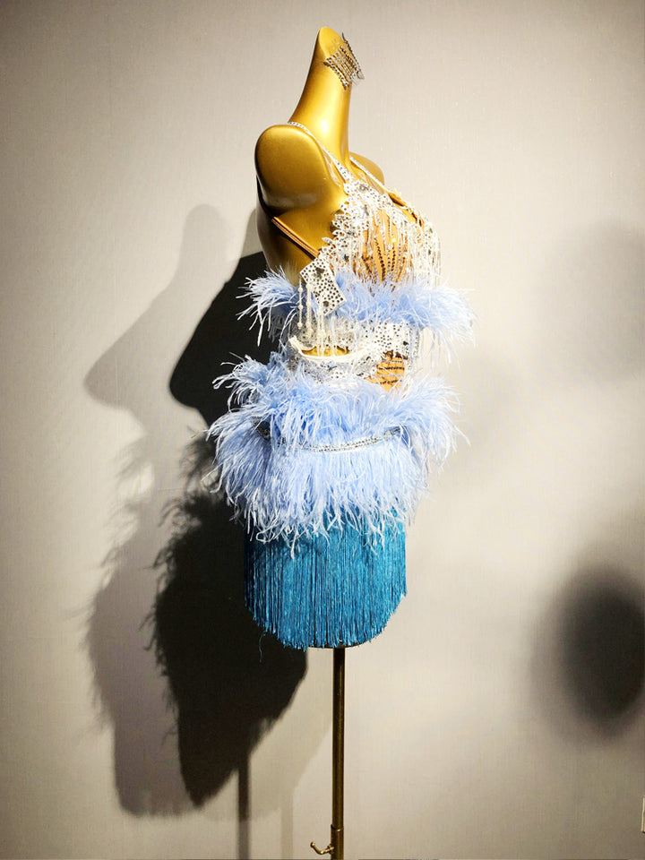 Blue Salsa Sequin Dress with Feather Trim and Fringe Skirt – Handmade Latin Ballroom Dance Costumes