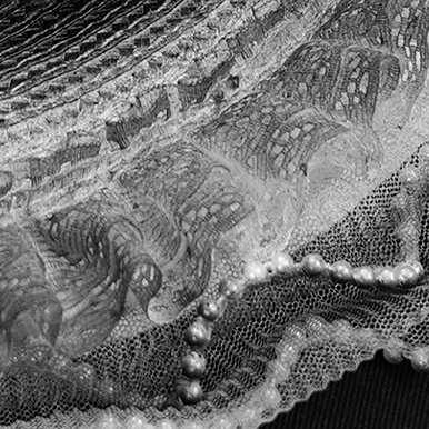 Victorian-Inspired Black and Silver Gothic Lace Fascinator Hat with Roses and Feathers