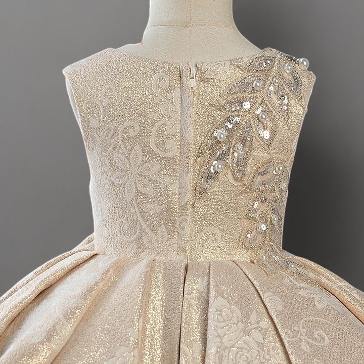 Champagne Layered Tulle Toddler Flower Girl Dress with Beaded Bodice – Special Occasion Girl Dress Plus Size