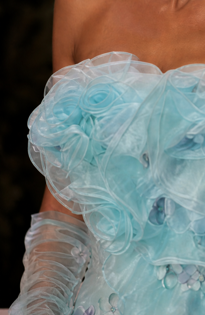Blue Tulle Evening Dress with Floral Appliqué and Layered Ruffle Ball Gown Plus Size