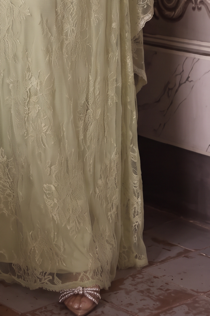 Regency Era Pale Green Lace Empire Waist Gown with Embellished Neckline and Draped Train – Bridgerton Inspired Vintage Dress Plus Size