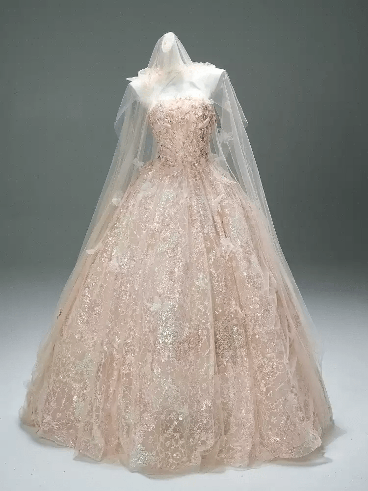 Blush Pink Fairytale Sequin Ball Gown with Floral Appliqué – Strapless Evening Dress with Tulle and Matching Veil Plus Size - WonderlandByLilian