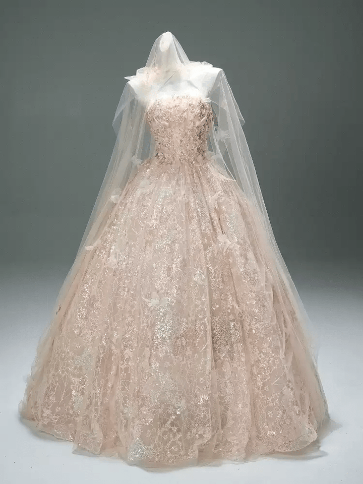 Blush Pink Fairytale Sequin Ball Gown with Floral Appliqué – Strapless Evening Dress with Tulle and Matching Veil Plus Size - WonderlandByLilian