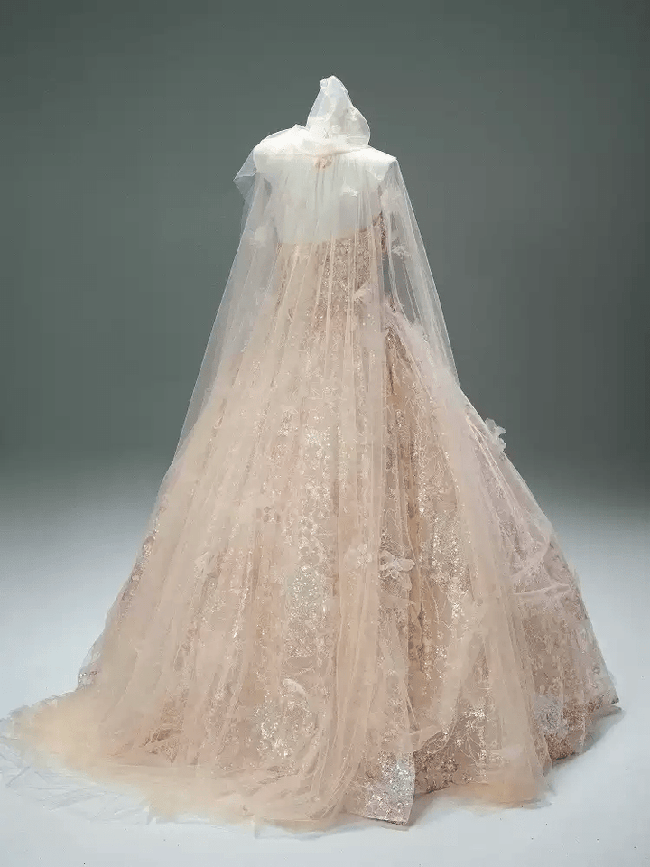 Blush Pink Fairytale Sequin Ball Gown with Floral Appliqué – Strapless Evening Dress with Tulle and Matching Veil Plus Size - WonderlandByLilian