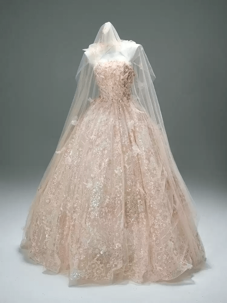 Blush Pink Fairytale Sequin Ball Gown with Floral Appliqué – Strapless Evening Dress with Tulle and Matching Veil Plus Size - WonderlandByLilian