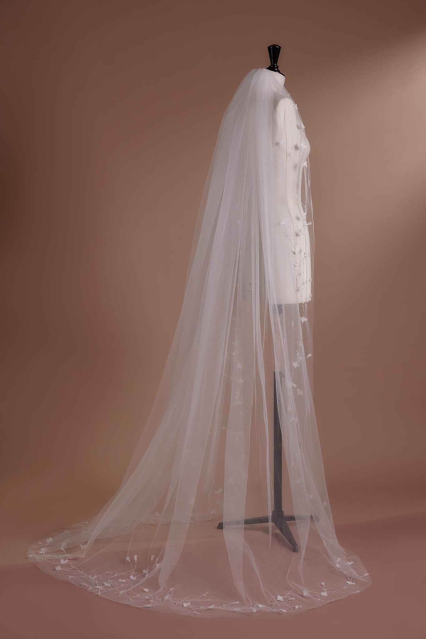 Cathedral Length Veil with Lace Trim and Embroidery - WonderlandByLilian