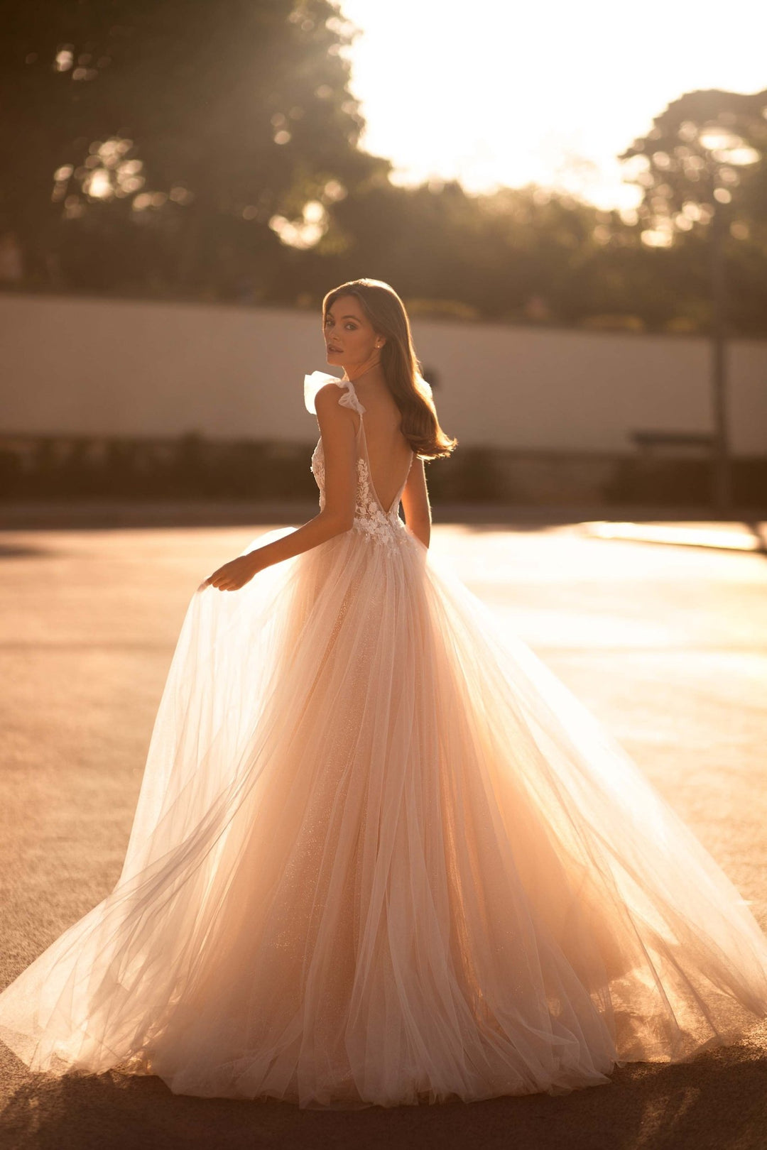 Champagne Wedding Dress with Sleeves and Glitter Tulle Skirt Plus Size - WonderlandByLilian