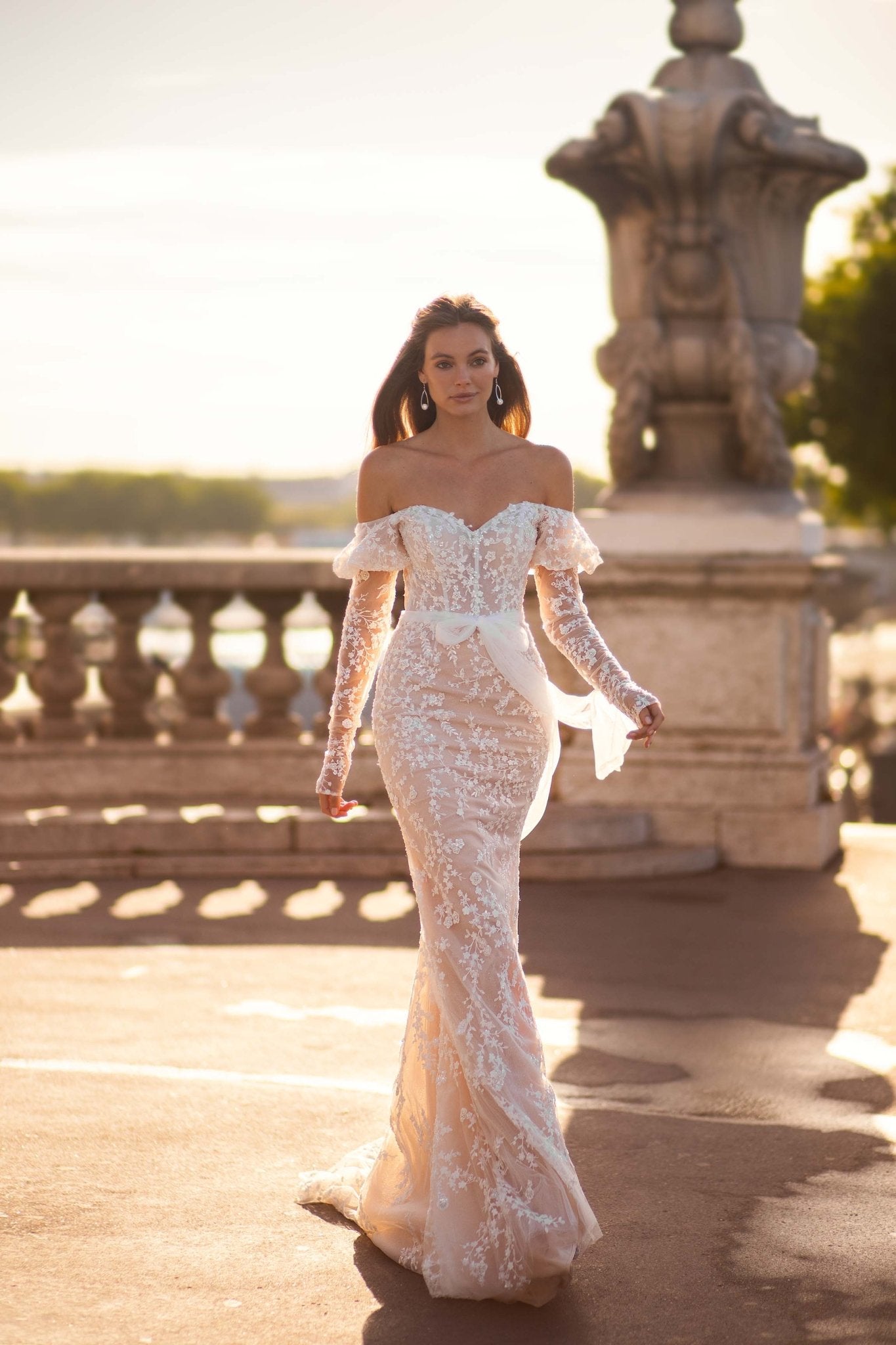 Champagne Wedding Dress with Sleeves and Lace Appliqués, Featuring 3D Floral Design, Long Chapel Train, and Delicate Tulle Plus Size - WonderlandByLilian