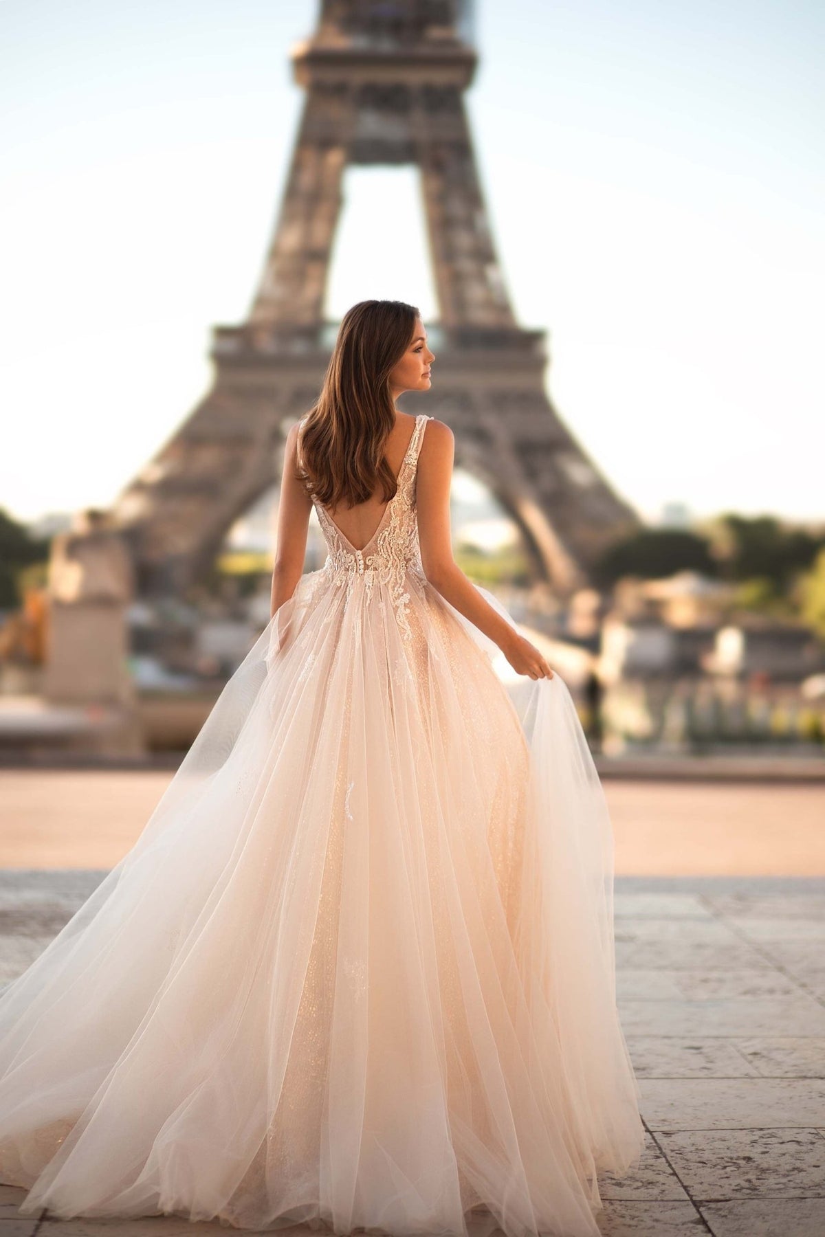Champagne Wedding Dress with Sleeves, Floral Appliqués, and A-Line Sil