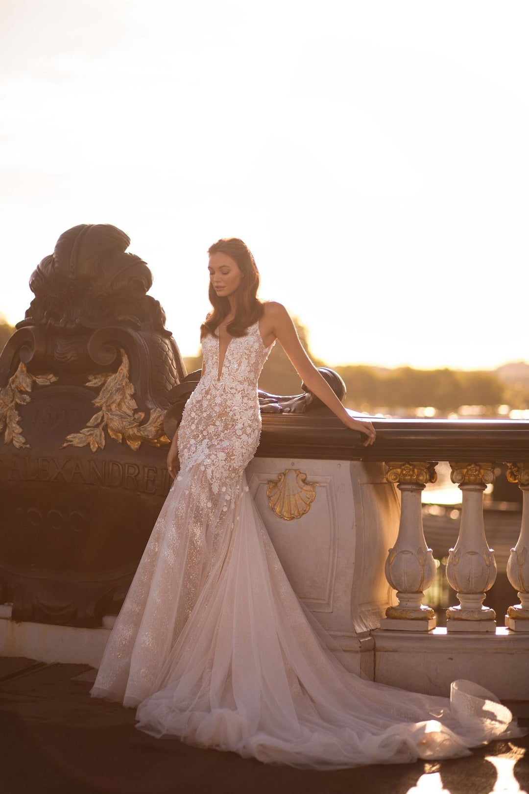 Champagne Wedding Dress with Sleeves Plus Size - Floral Appliqué, Glitter Tulle & Long Train - WonderlandByLilian