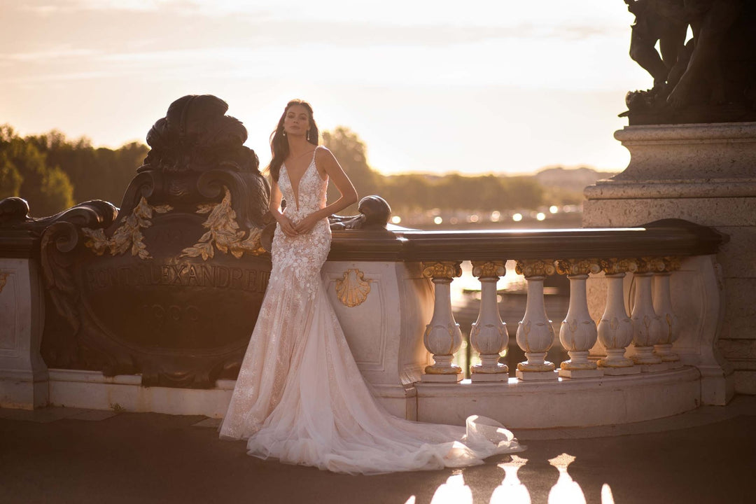 Champagne Wedding Dress with Sleeves Plus Size - Floral Appliqué, Glitter Tulle & Long Train - WonderlandByLilian