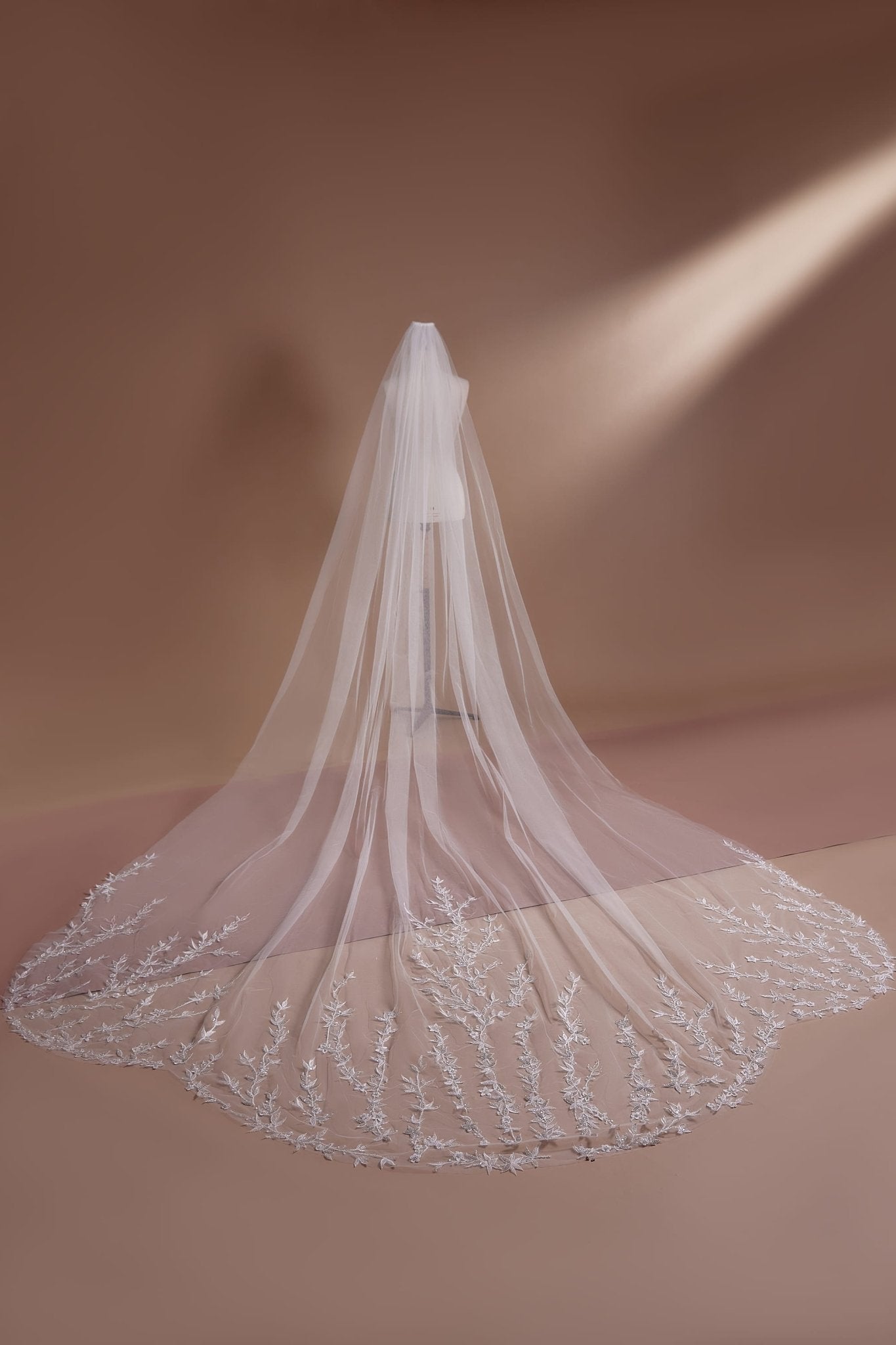 Embroidered Cathedral Veil with Lace Trim Plus Size - WonderlandByLilian