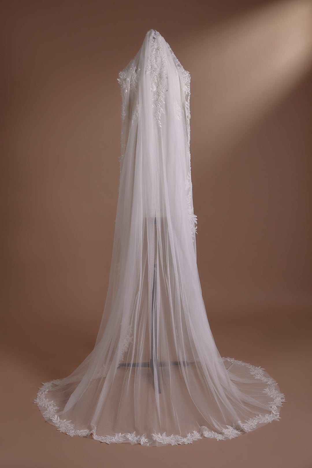 Lace Edged Long Cathedral Veil with Floral Detailing Plus Size - WonderlandByLilian