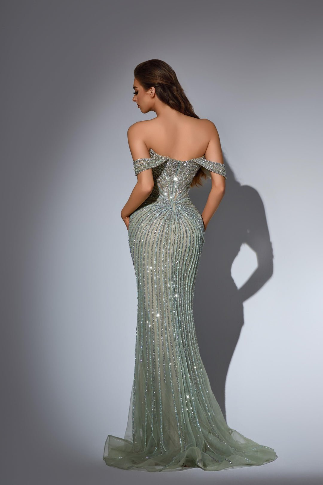 Mint Green Pretty Sequin Dress with Off - Shoulder Sleeves – Embellished Gown with Glitter Tulle Plus Size - WonderlandByLilian