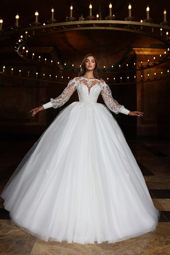 Timeless Ball Gown Wedding Dress with Plunging V-Neck and Delicate Lace Sleeves Plus Size - WonderlandByLilian