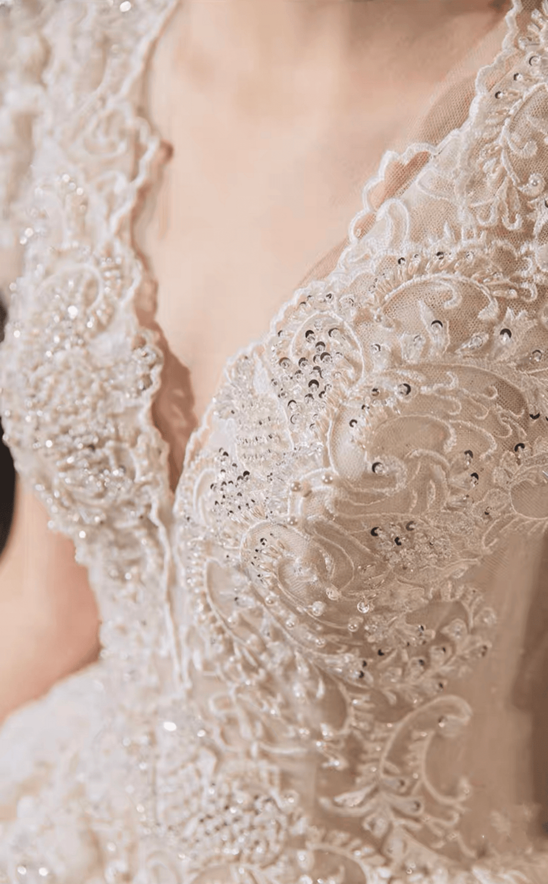 Vintage Luxury Princess Ivory A-Line Embroidery Wedding Dress With V Neck - Plus Size - WonderlandByLilian