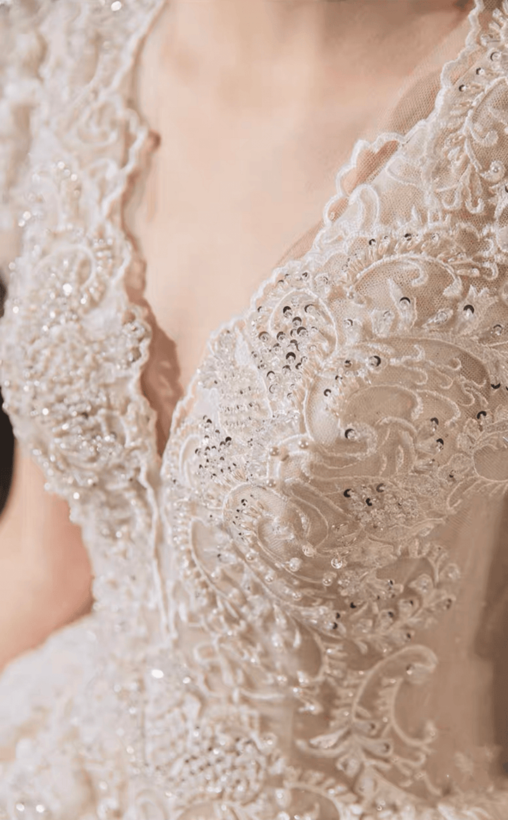 Vintage Luxury Princess Ivory A-Line Embroidery Wedding Dress With V Neck - Plus Size - WonderlandByLilian