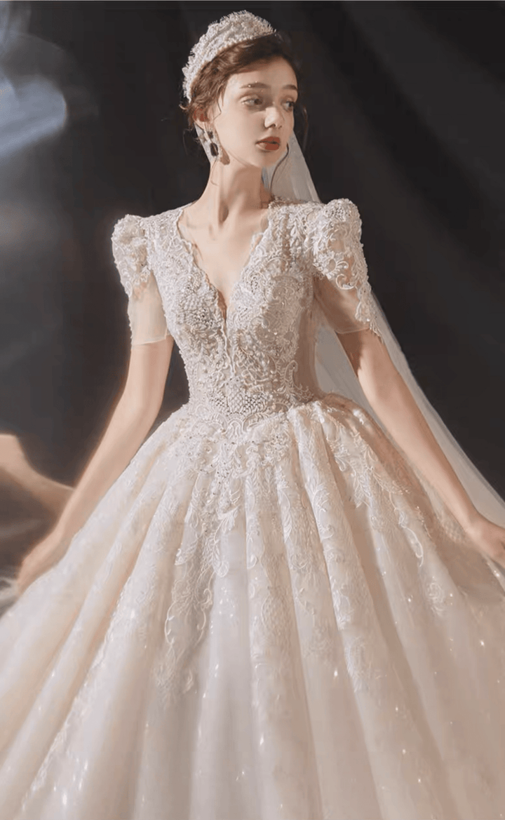 Vintage Luxury Princess Ivory A-Line Embroidery Wedding Dress With V Neck - Plus Size - WonderlandByLilian