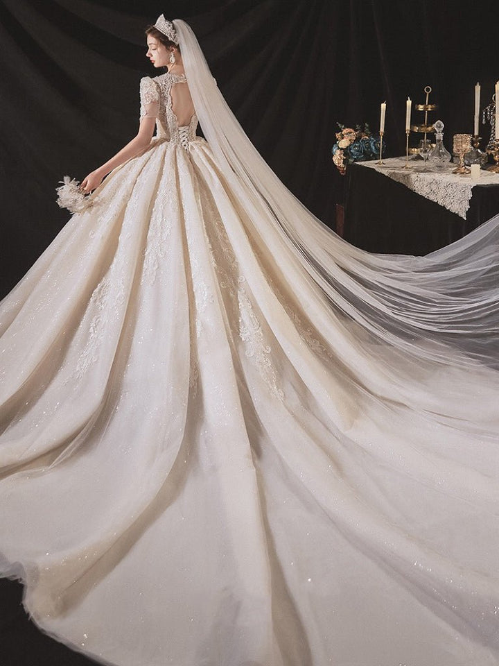 Vintage Luxury Princess Ivory A-Line Embroidery Wedding Dress With V Neck - Plus Size - WonderlandByLilian